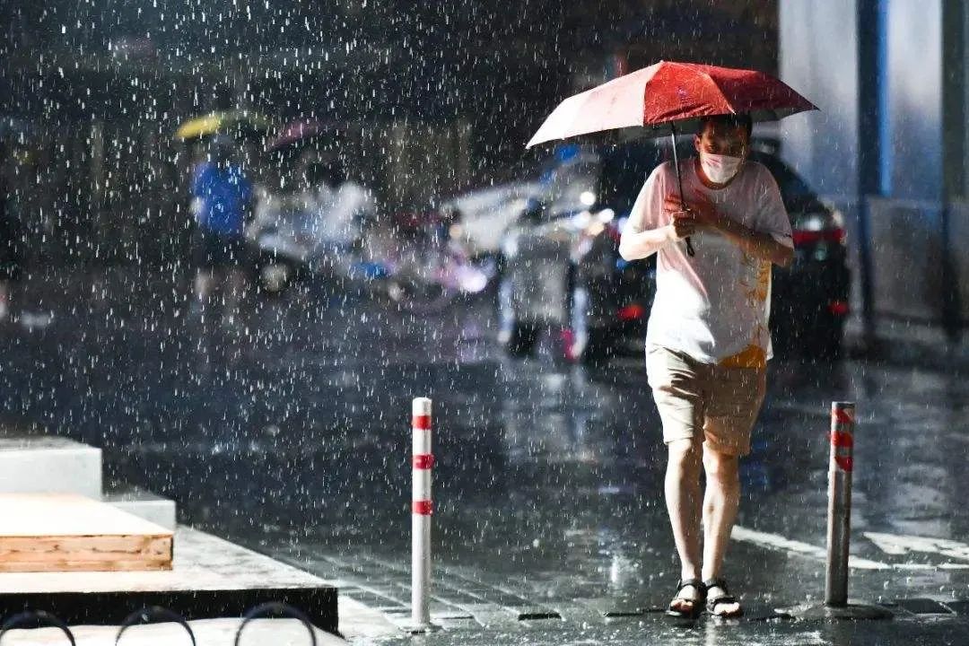 描写雨的诗句有哪些（以雨为主题的诗句）