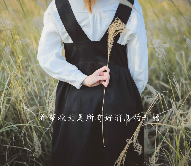 秋天的唯美句子朋友圈（适合摘抄的励志语段）
