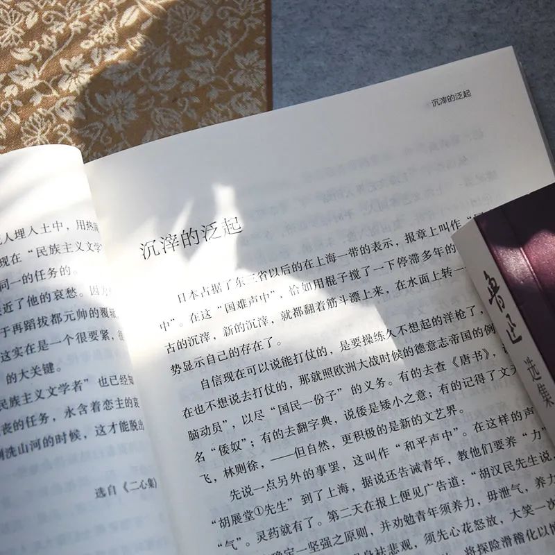 鲁迅杂文集代表有哪些（鲁迅杂文集三篇最著名）