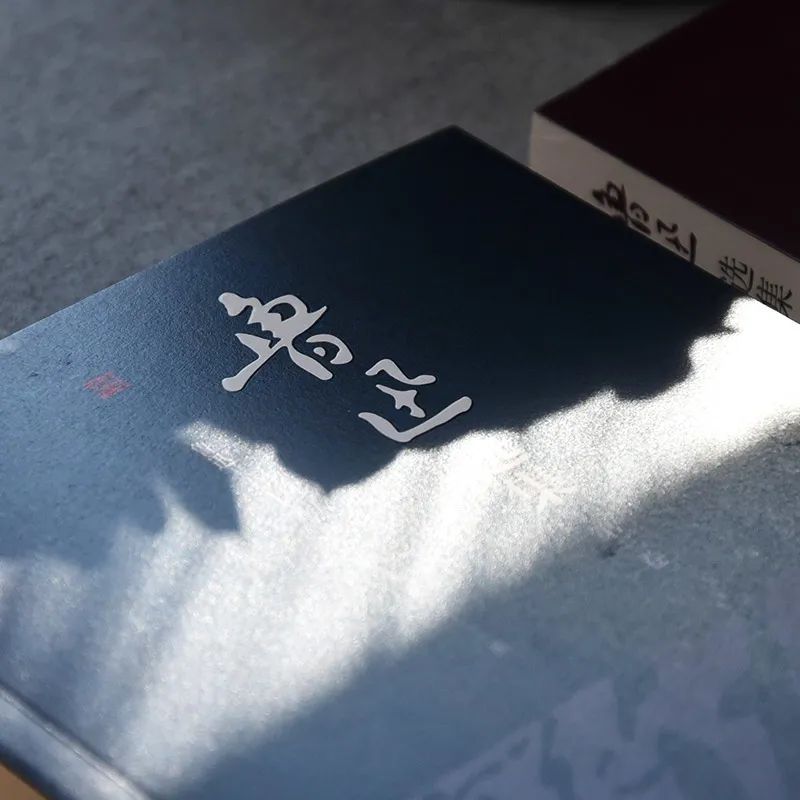 鲁迅杂文集代表有哪些（鲁迅杂文集三篇最著名）