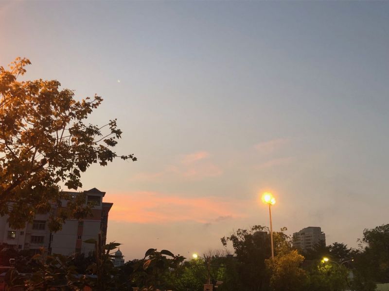 情人节经典语录（情人节经典语录句子大全）