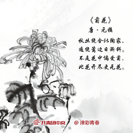 重阳节的古诗大全（关于重阳节的古诗）