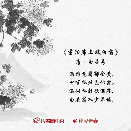 重阳节的古诗大全（关于重阳节的古诗）