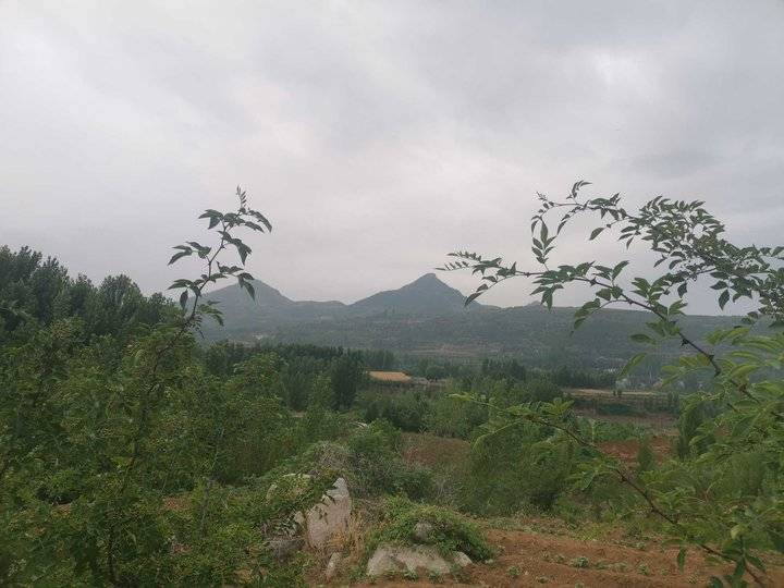 听雨作文800字（听雨的心情随笔）