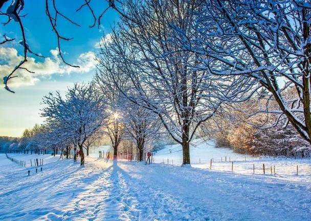 关于雪的文章片段（描写雪景的优美段落摘抄）