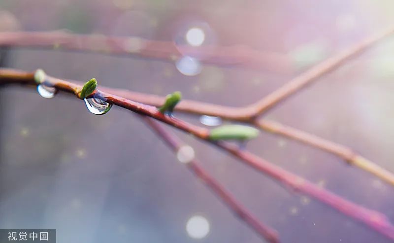 关于雨的文章摘抄（写雨的抒情散文随笔）