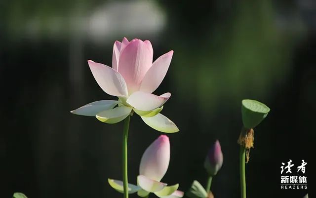 春天的短句唯美摘抄（适合发朋友圈的春天文案）