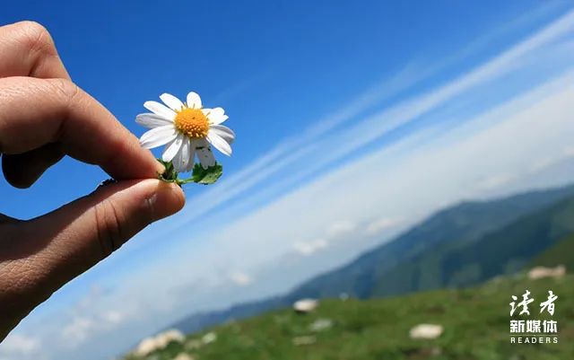 春天的短句唯美摘抄（适合发朋友圈的春天文案）