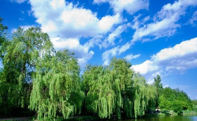 追逐梦想的优美句子（关于砥砺逐梦优美句子）