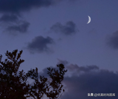 激励团队凝聚力的句子（积极工作正能量的短语）