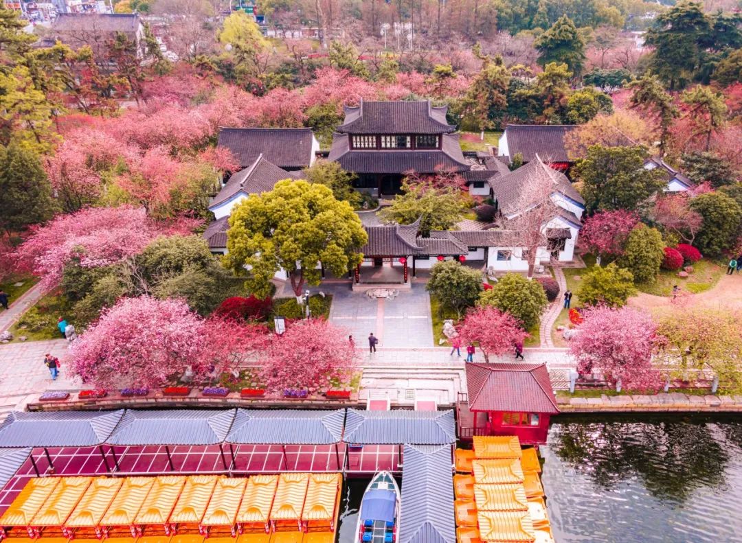 清明节古诗词大全（清明节的经典古诗）