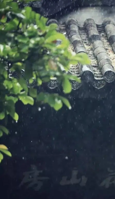 写雨的散文随笔唯美（关于雨的美文摘抄 ）
