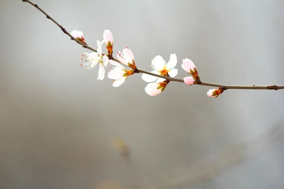 惊艳了时光优美句子名人（享受岁月美好时光的古诗）