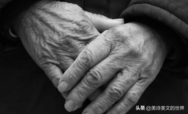 关于母亲的诗句古诗（赞美母亲的现代诗歌）