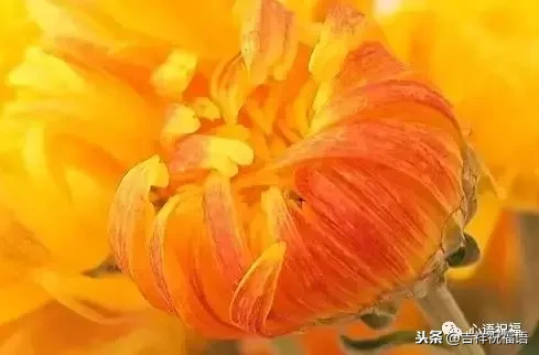 想念天堂父母短句（想念天堂的亲人的句子）