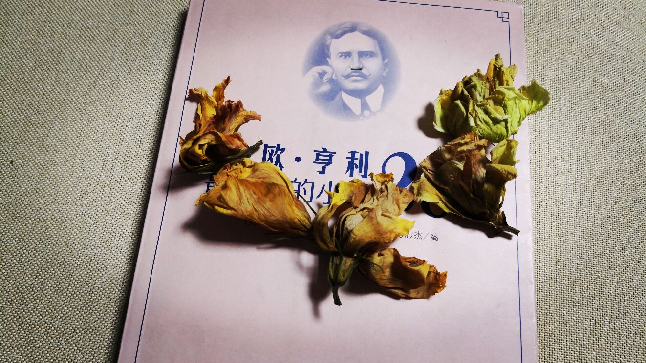 最后的常春藤叶原文阅读（最后的常春藤叶贝尔曼）