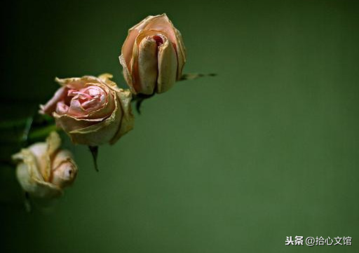 形容伤感总是错过的句子（关于错过的伤感说说）