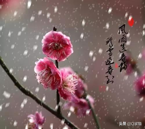 小学描写冬天的诗句（盘点小学必背冬天诗句）