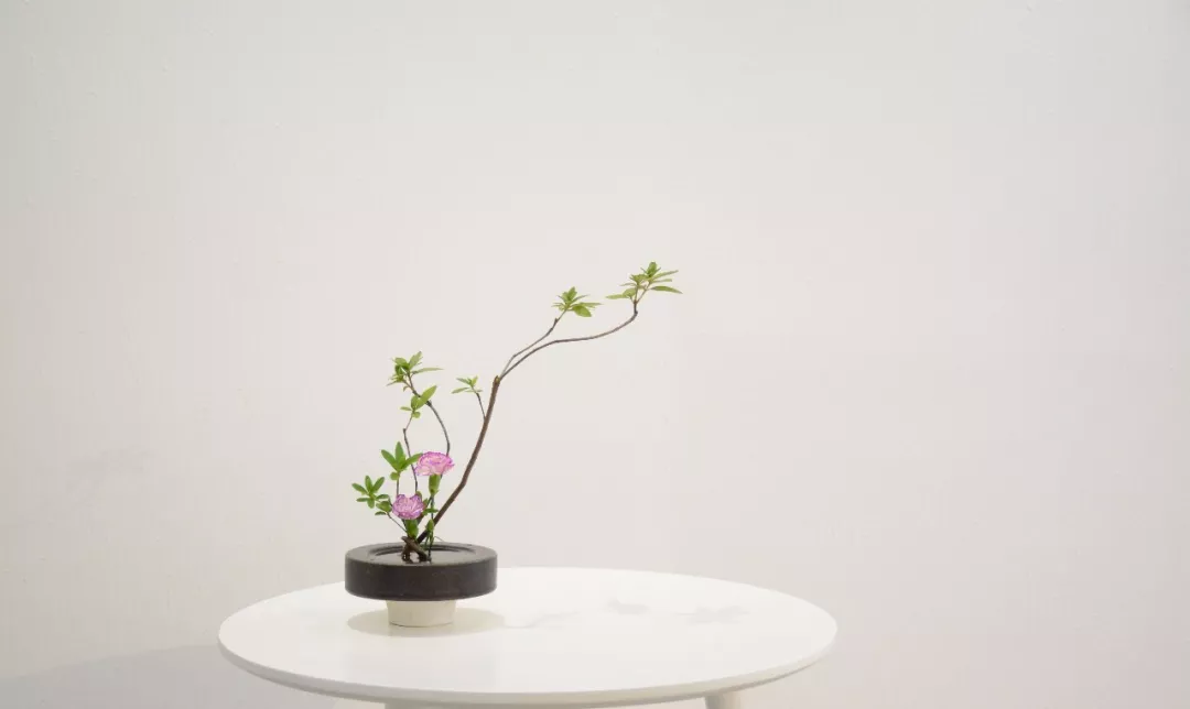 师说原文及翻译（师说全文解析）