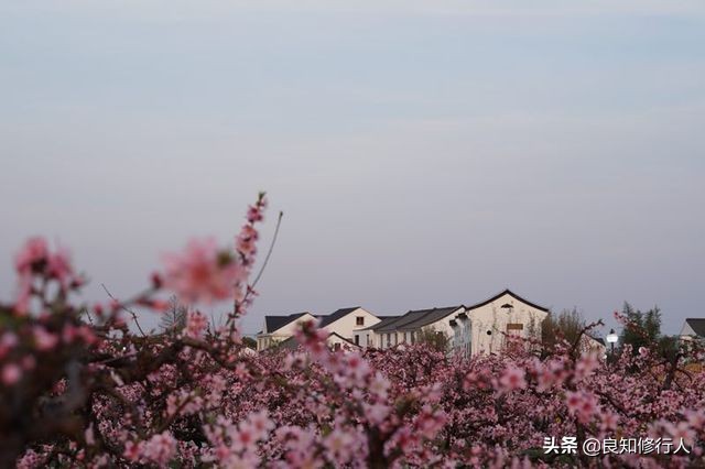 相思怨原文翻译及赏析（相思怨赏析及全文解释）