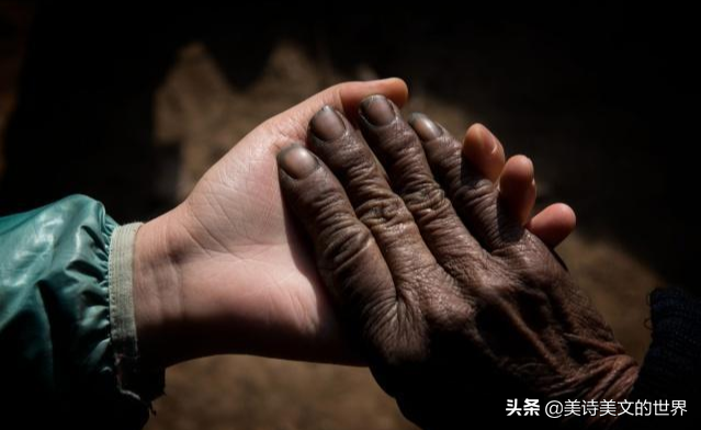 赞美母亲的诗有哪些（赞美母亲伟大的诗句）