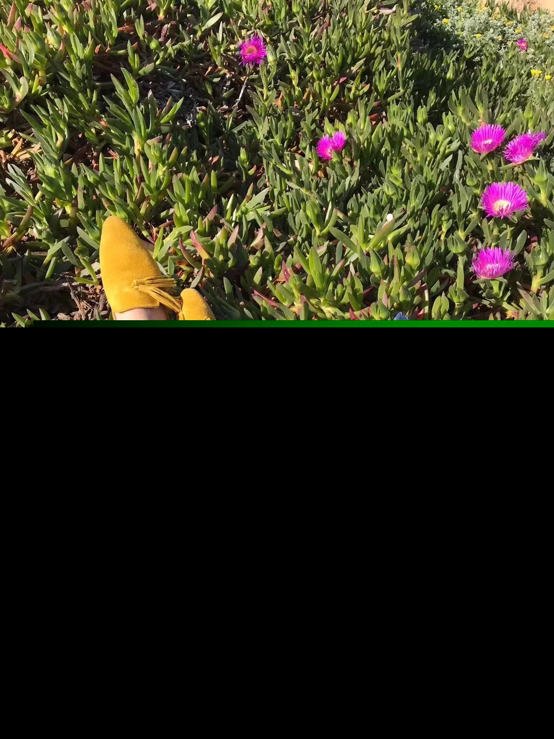 经典文章欣赏一百字（短篇经典美文欣赏）