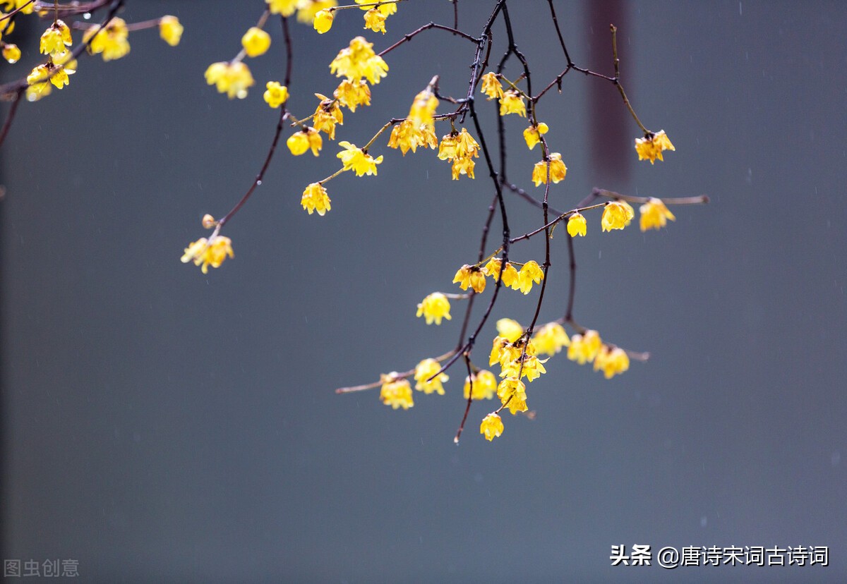 南方大雪节气诗词（有关二十四节气大雪的诗句）
