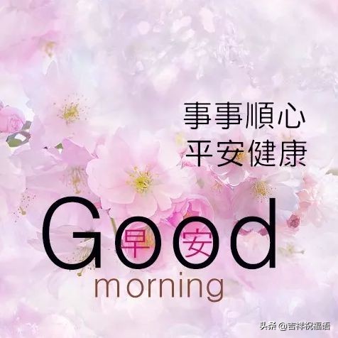 周一早上问候语温馨（适合星期一的早安心语）