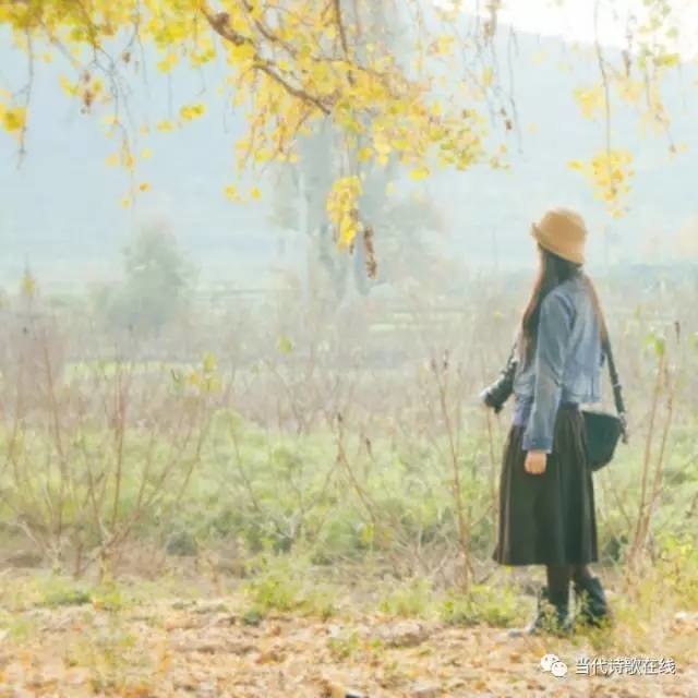 席慕蓉经典诗歌赏析（席慕容作品赏析）