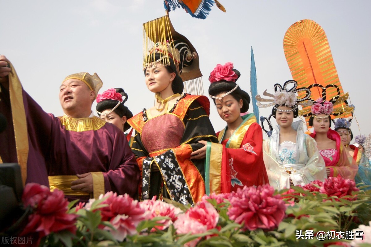 三八妇女节诗句简短（三八节的经典祝福语）