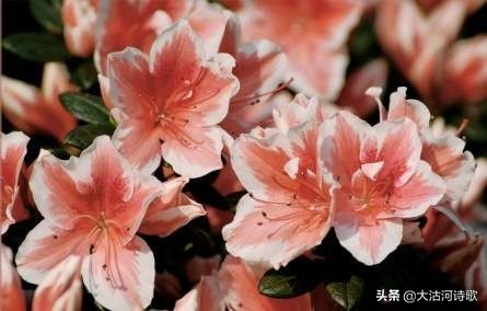 缅怀先烈诗词有哪些（表达对烈士的敬意的诗句）