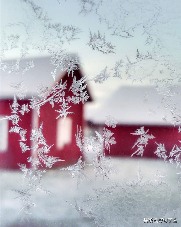 描写下雪的优美句子（感受雪景的心情短语）