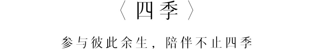 感人爱情文章摘抄（唯美浪漫的爱情的文章）