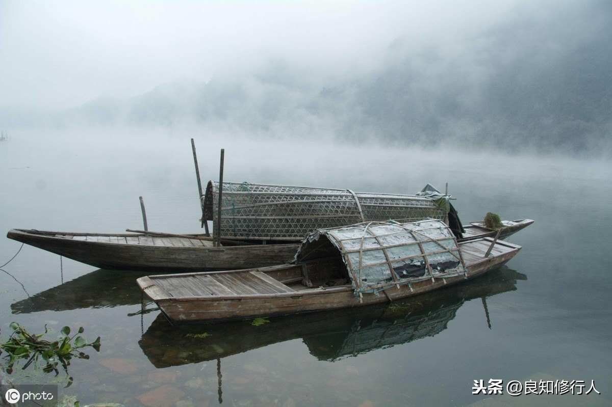 野旷天低树江清月近人的全诗（野旷天低树,江清月近人的赏析）