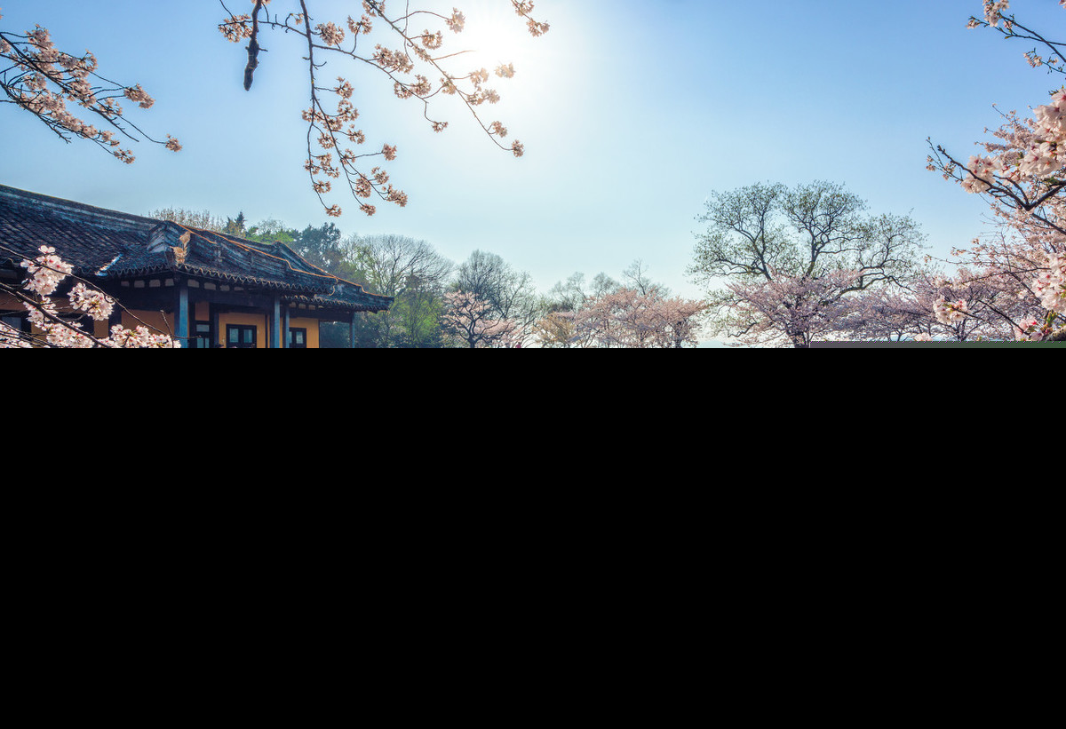 蝶恋花李清照翻译（蝶恋花全诗诗意解读）