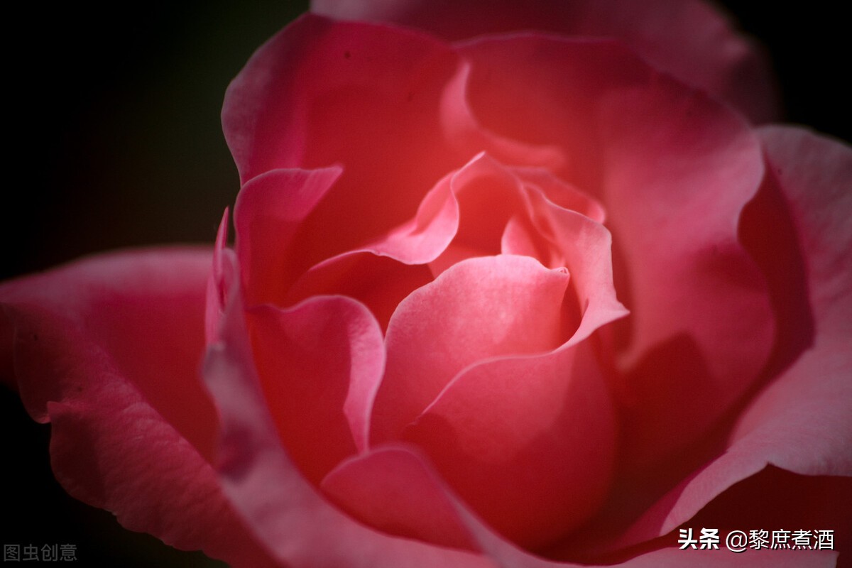 散文爱情是什么（对爱情美好憧憬的散文）