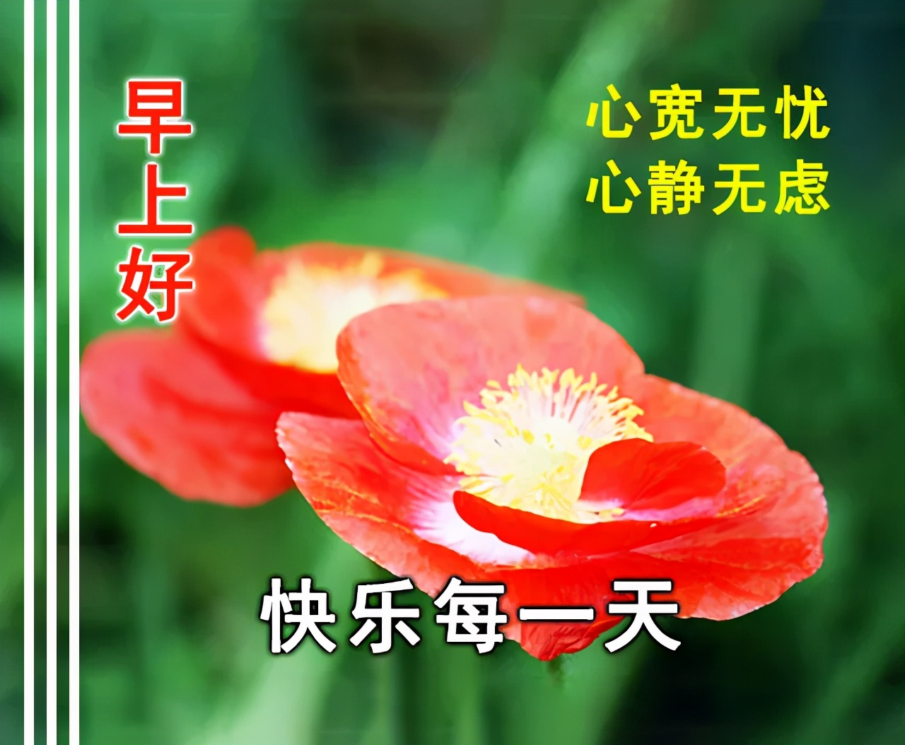夏天早上问好的句子（唯美励志的早安语录）