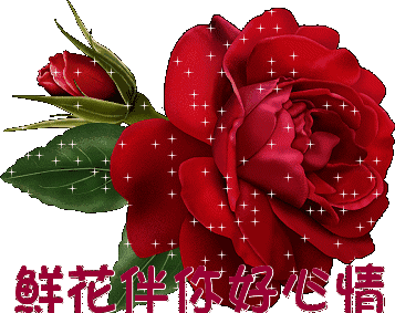 温馨祝福朋友的句子（最暖心的早安祝福语录）