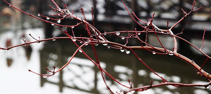 冬天的雨的优美句子（抖音上最火的下雨说说）