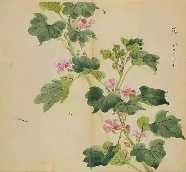 古诗词300首简短（欣赏古诗大全）