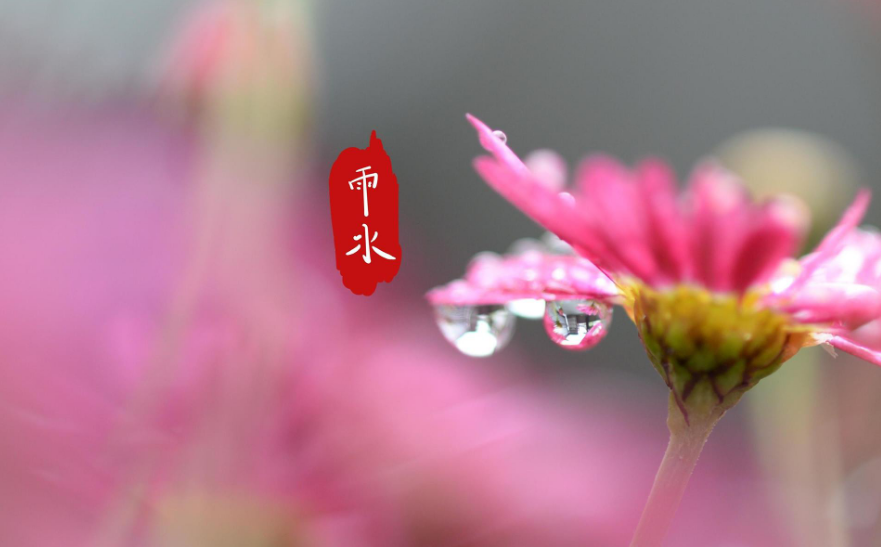 关于雨的散文诗句（10首有关雨的经典诗句）