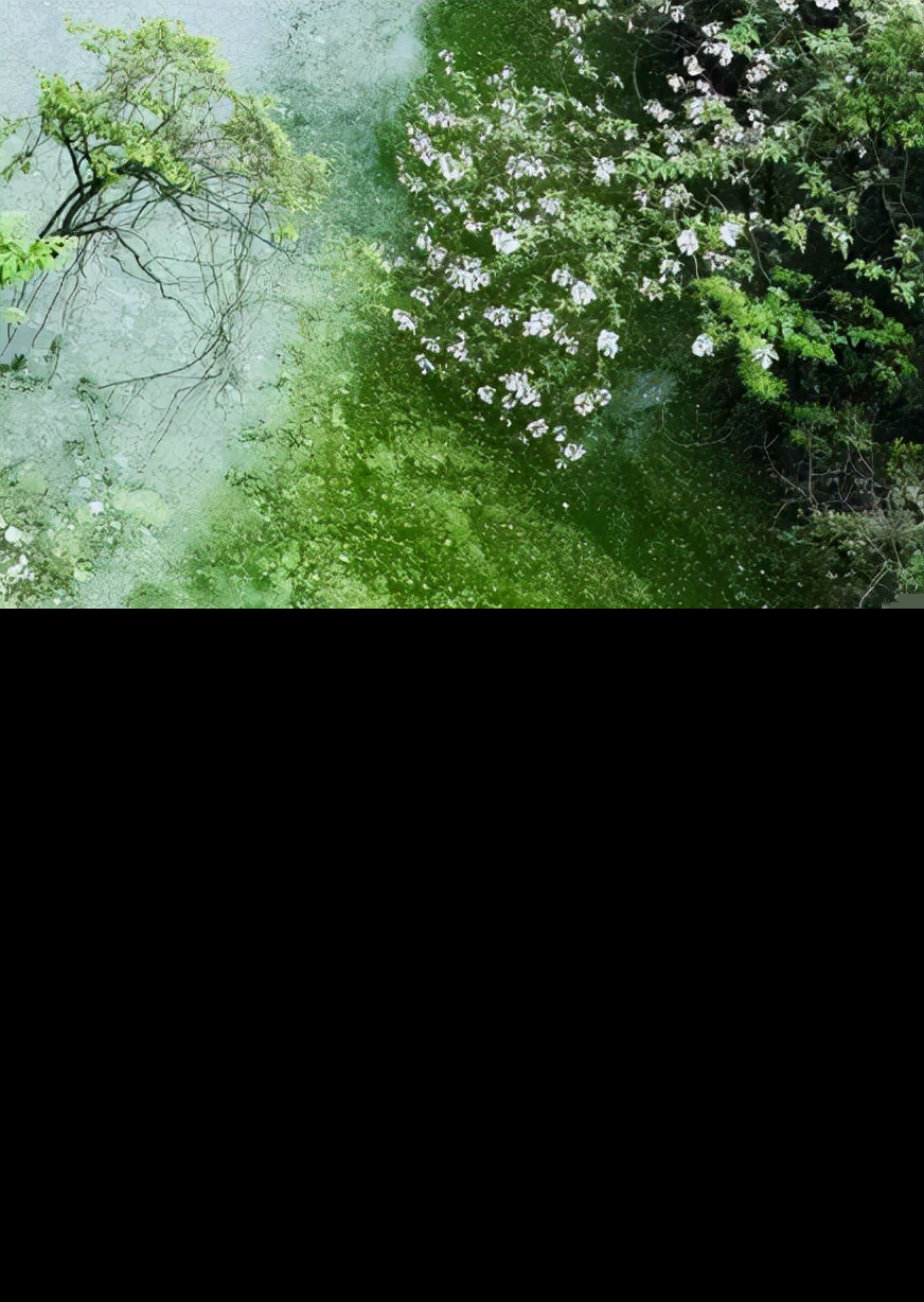 描写春水的诗句古诗词（描写赞美春天的古诗）