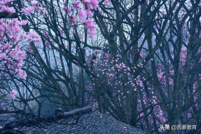 乌鸣涧的古诗是什么（乌鸣涧古诗全文和解释）