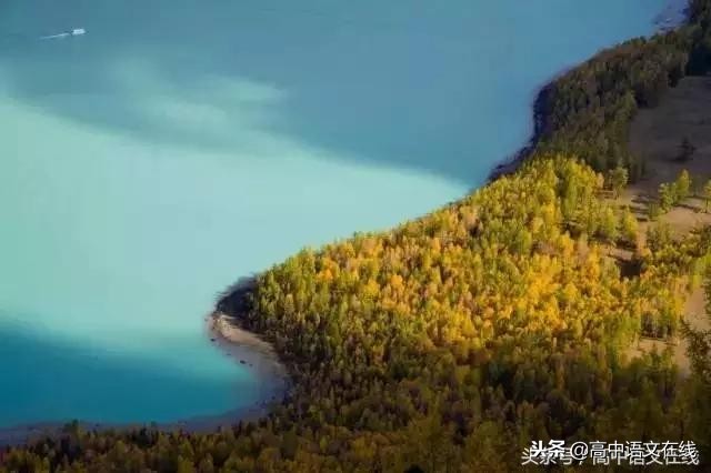 高中文言文大全及翻译（古今互译在线翻译）