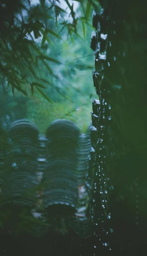 写雨的散文随笔唯美（关于雨的美文摘抄 ）