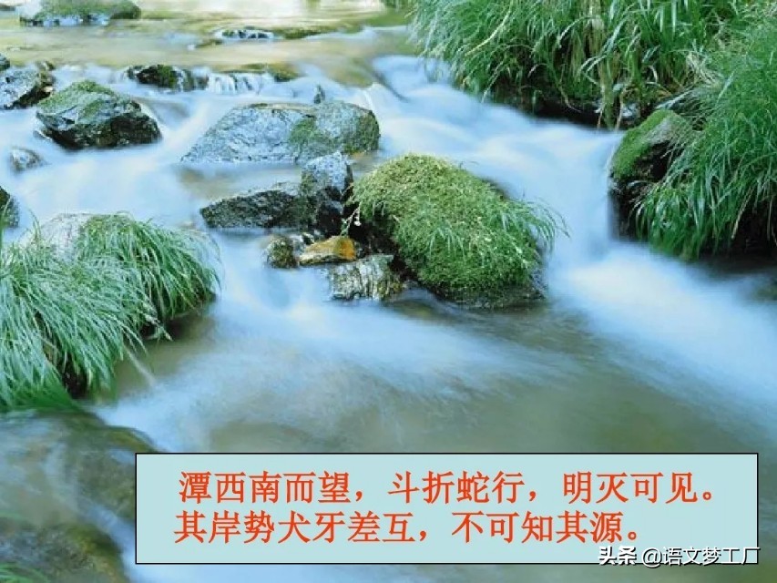小石潭记表达了作者怎样的感情的句子（小石潭记全文解析）