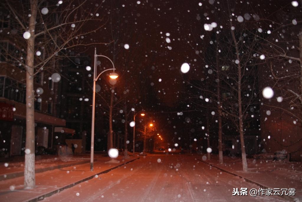 江南几度梅花发全诗（寒梅傲骨经典句子 ）