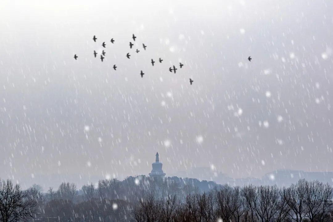描写冬雪的诗句古诗（关于冬天雪景的诗词）
