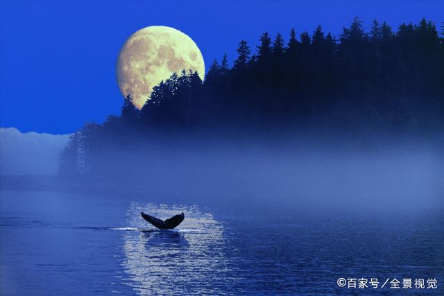 诗经陈风月出赏析（古诗中月的特点）
