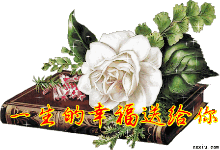 温馨祝福朋友的句子（最暖心的早安祝福语录）